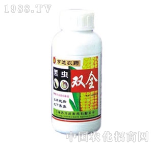 ���_-���x�pȫ