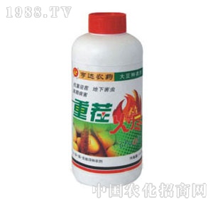 ���_-�ز�a