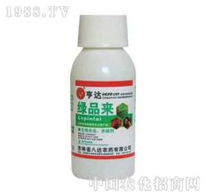 ���_-�GƷ��