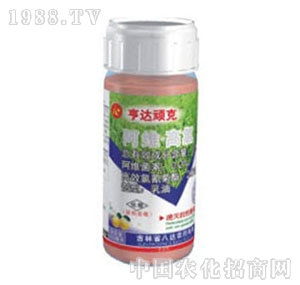 ���_(d��)-�B��