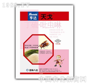 ���_(d��)-���