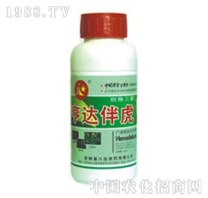 ���_(d��)-�黢