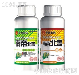 ���_(d��)-�ϵ۱��w