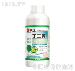 ���_-����ݬ