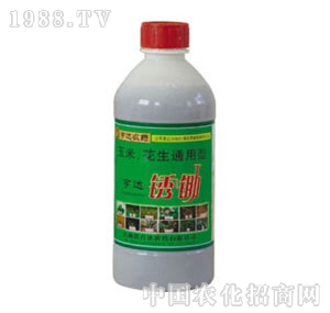 ���_(d��)-�P�z