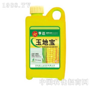 ���_(d��)-��،�