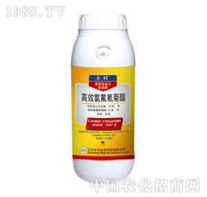 �l(xi��ng)������-25���ȷ������