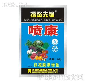 ̽·���h-�������������ɫ