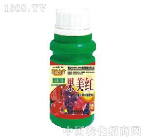 ̽·���h-�����t���������O�������t����