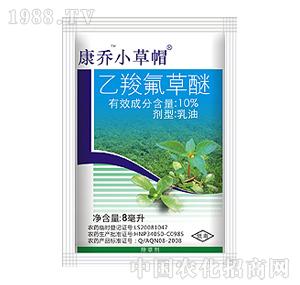 ����-С��ñ��10%���ȷ����ѣ�