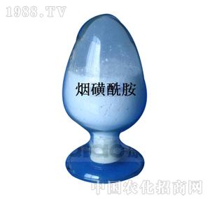 ����-��������