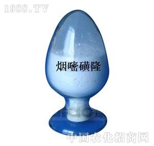 ����-���׻�¡��95%