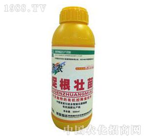 ���r(n��ng)-�ٸ�����