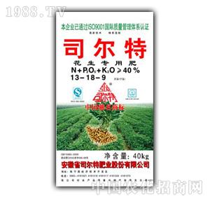 ˾����-�����y(c��)���䷽��