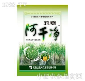 ��ِ���r(n��ng)-��ِ���Ƀ�