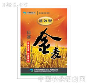 ��ِ���r(n��ng)-�������ͣ�