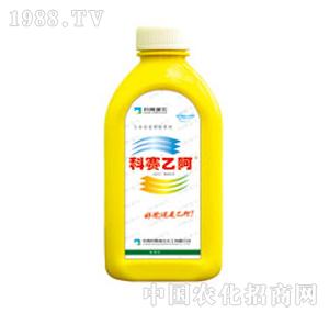 ��ِ���r(n��ng)-��ِ�Ұ�