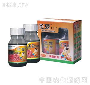 ��ِ���r(n��ng)-ʥ����250�˷��ǰ����ѣ�