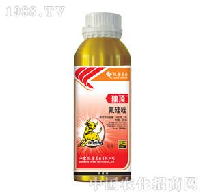 �G�S�r(n��ng)ˎ-���