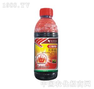 �G�S�r(n��ng)ˎ-�t�N�N