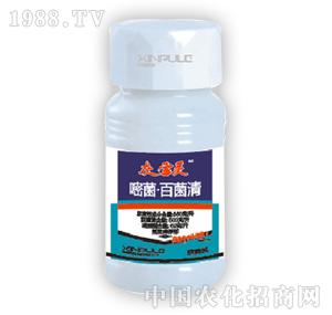 ���՘�-�׾��پ���