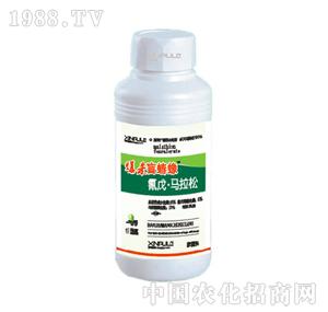 ���՘�(l��)-�����R����