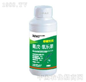 ���՘�(l��)-��������(l��)��