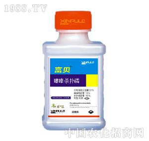 ���՘�-��ບ�����