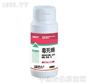 ���՘�-������