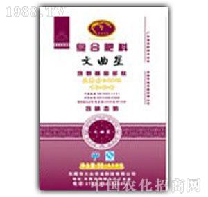 ��-�󱊸����������16-6-6��