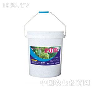 �r(n��ng)�_����-�_ʩ�ʣ��ϣ�