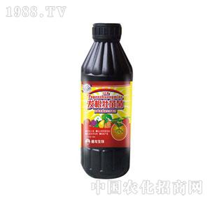 ����-��Ʒ12���l(f��)�������