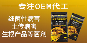 �������ý�����Ƽ����޹�˾