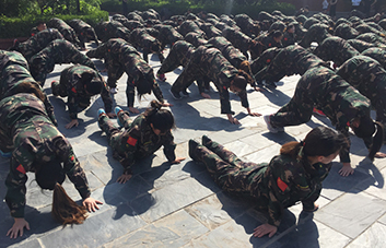 �����������(n��i)��(qi��ng)���|(zh��)������(y��u)�������